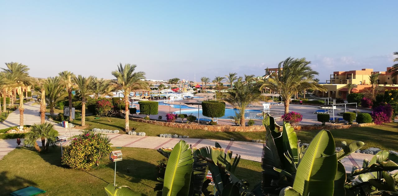 Ausblick Malikia Resort Abu Dabbab