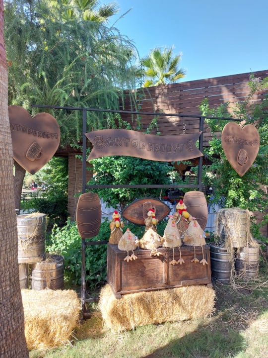 Gartenanlage Hotel Royal Garden Beach