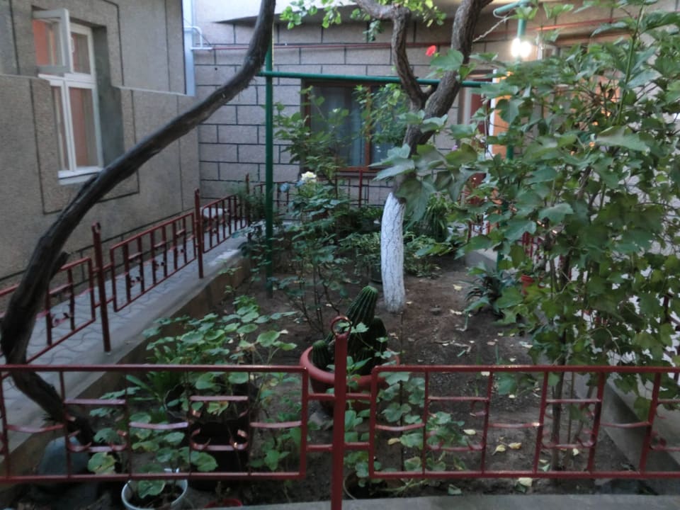 Die Beete im Hof Semeyny Otdykh Guest House 