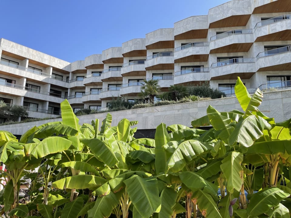 Gartenanlage Hotel Serrano Palace