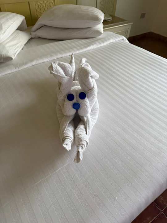 Zimmer Sentido Mamlouk Palace Resort