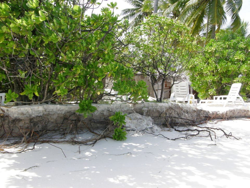 Schaden Angaga Island Resort
