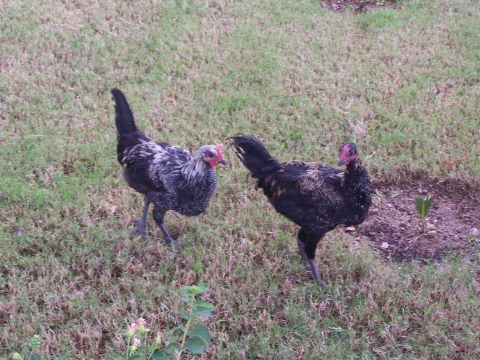 Sonstiges Motiv Seaden Sea World Resort & Spa