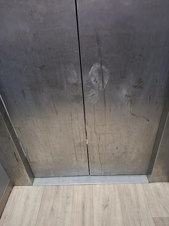 Sonstiges Club Palm Azur