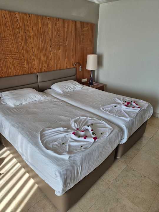 Zimmer PALOMA Perissia