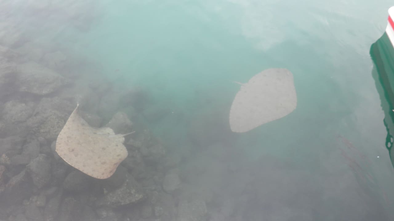 Strand Servatur Alameda de Jandía