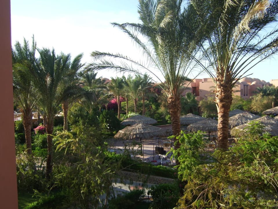 Blick vom Balkon Jaz Makadi Oasis Resort