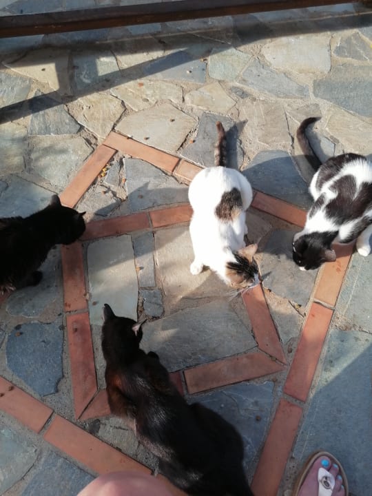 Sonstiges Sentido Kyknos Beach Adults Only 16+