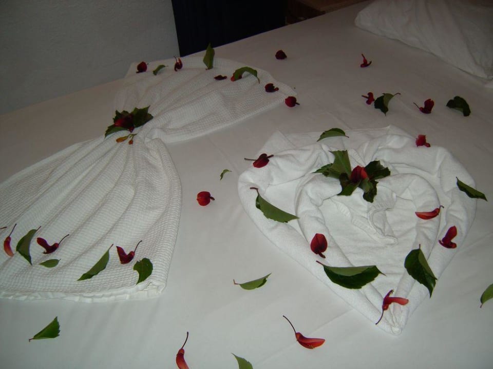 Hane Apartment in Side/Kumköy Apartments Hane Annex