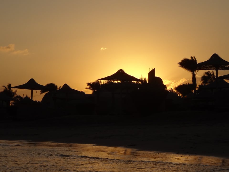 Ausblick Shams Alam Beach Resort