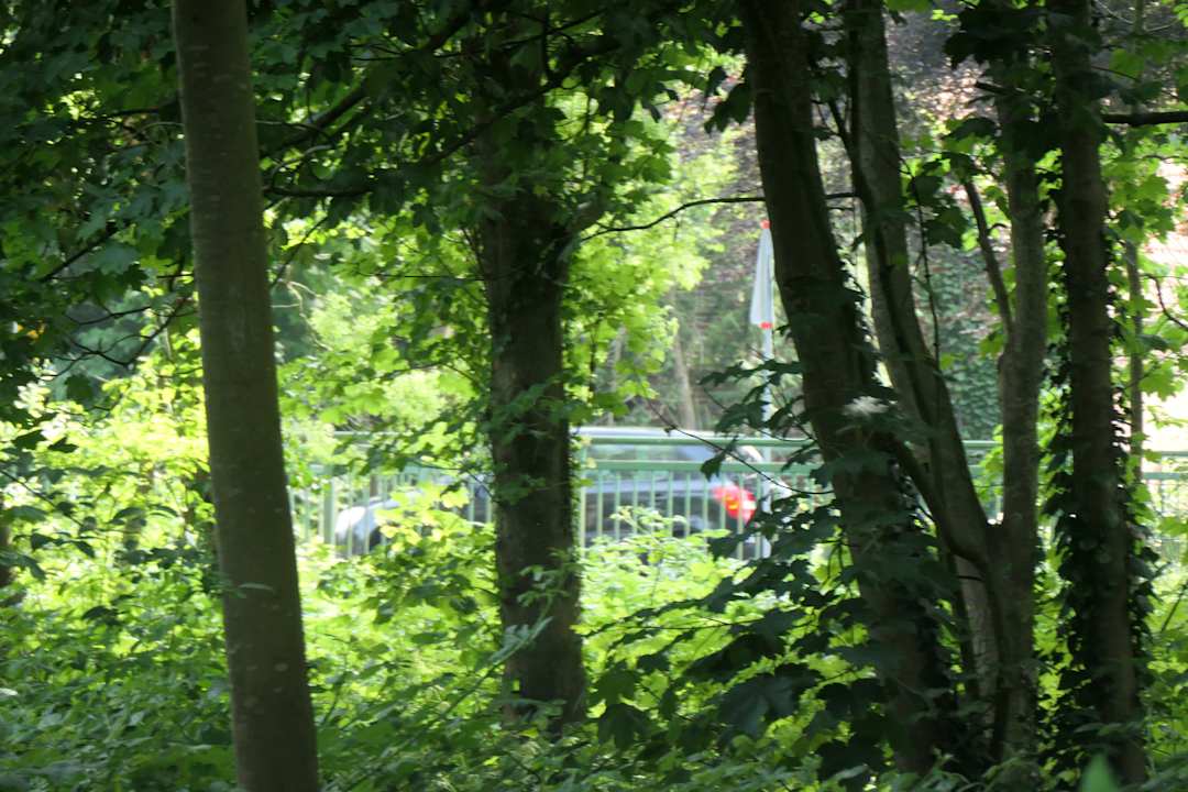 Ausblick Architektenhaus am Pewsumer Tief