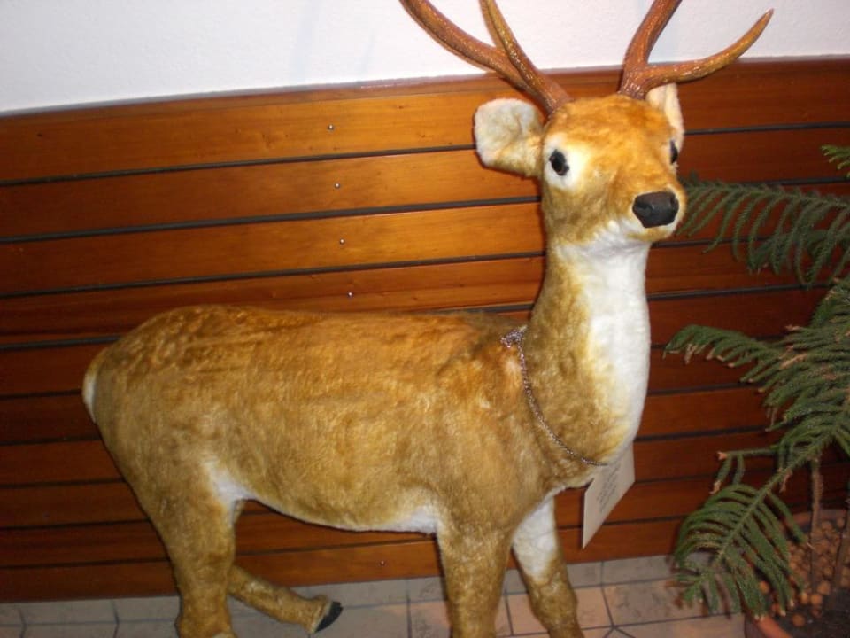 Ausgestopft in der Lobby Gasthof zum Hirsch