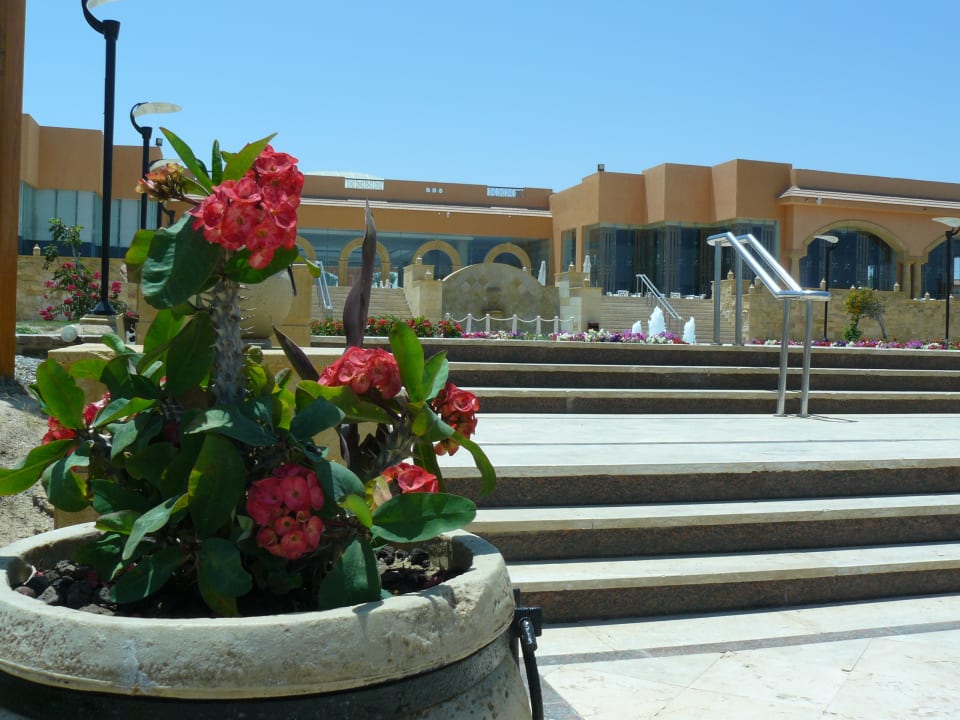 Außenansicht Jaz Grand Marsa