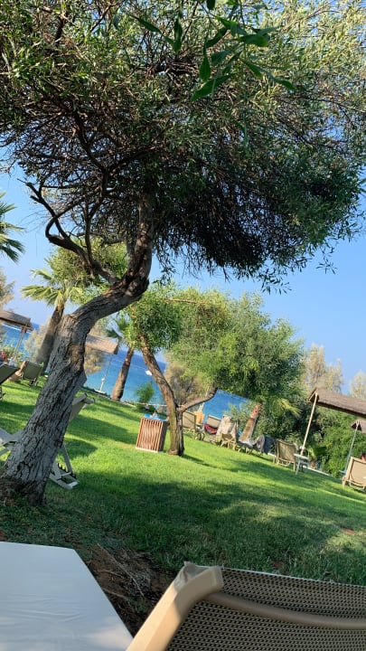 Gartenanlage Crystal Springs Beach Hotel