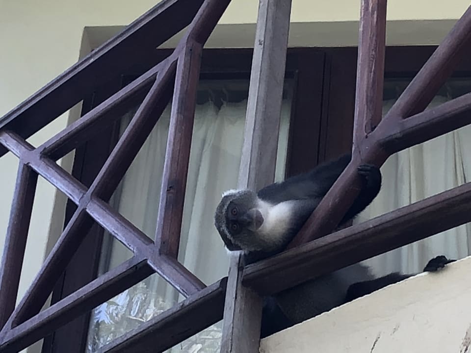 Sonstiges Neptune Village Beach Resort & Spa