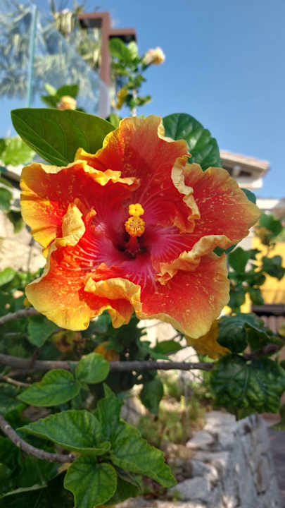 Gartenanlage Hotel Cruccuris Resort