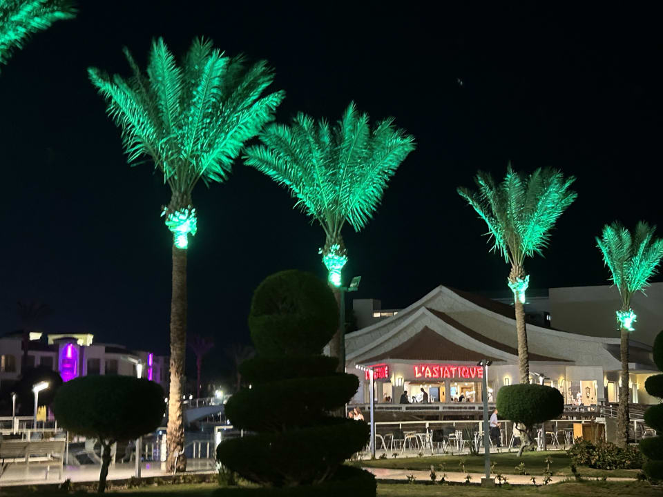 Gastro Pickalbatros Dana Beach Resort - Hurghada