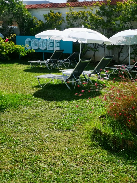 Gartenanlage Hotel Albatros