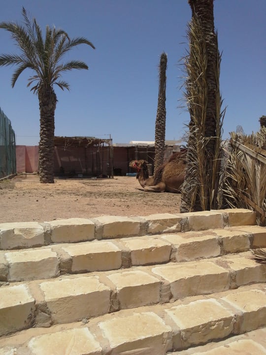 Mini zoo Lella Meriam Hotel & Club