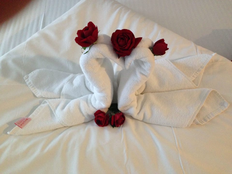 Zimmer Side Aluna Hotel