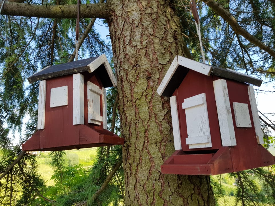 Gartenanlage Bauernhof Albarossa