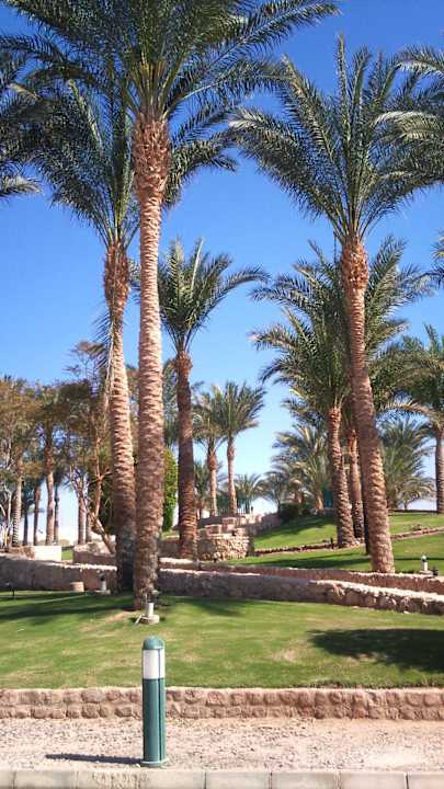 Garten Sharm Plaza