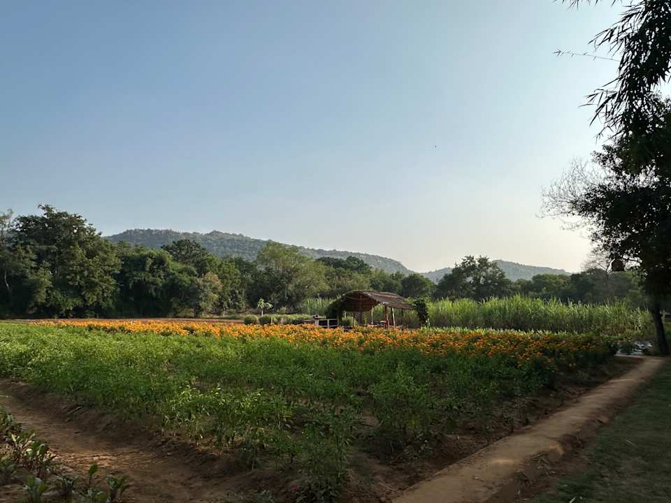 Gartenanlage Hotel Aman-I-Khás