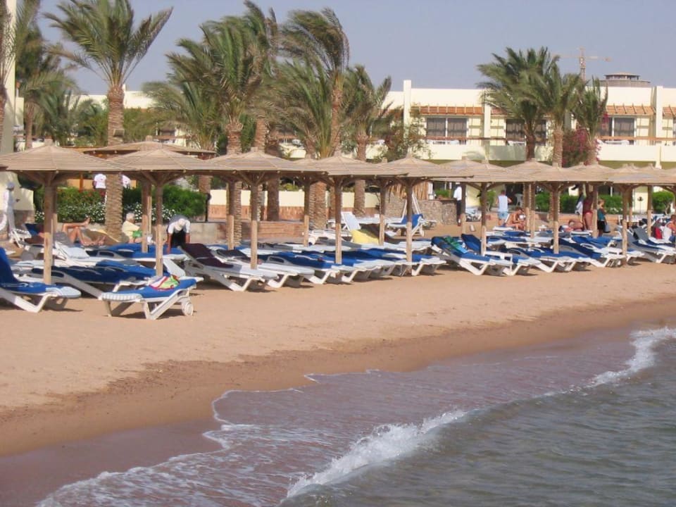 Strandabschnitt Palm Beach Resort