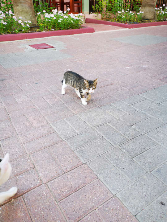 Sonstiges VONRESORT Golden Beach