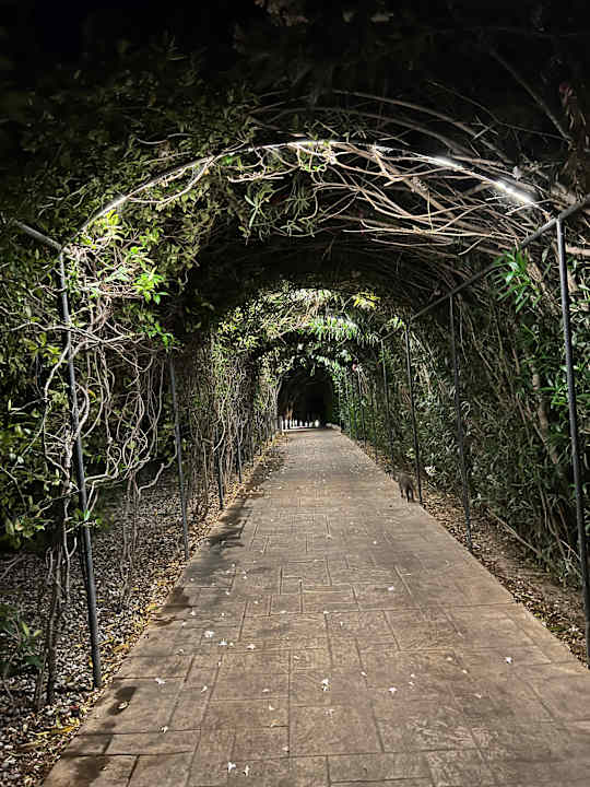 Gartenanlage Atlantica Aegean Blue