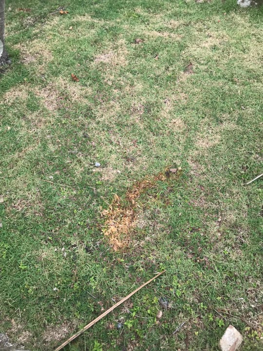 Sonstiges Cape Panwa Hotel