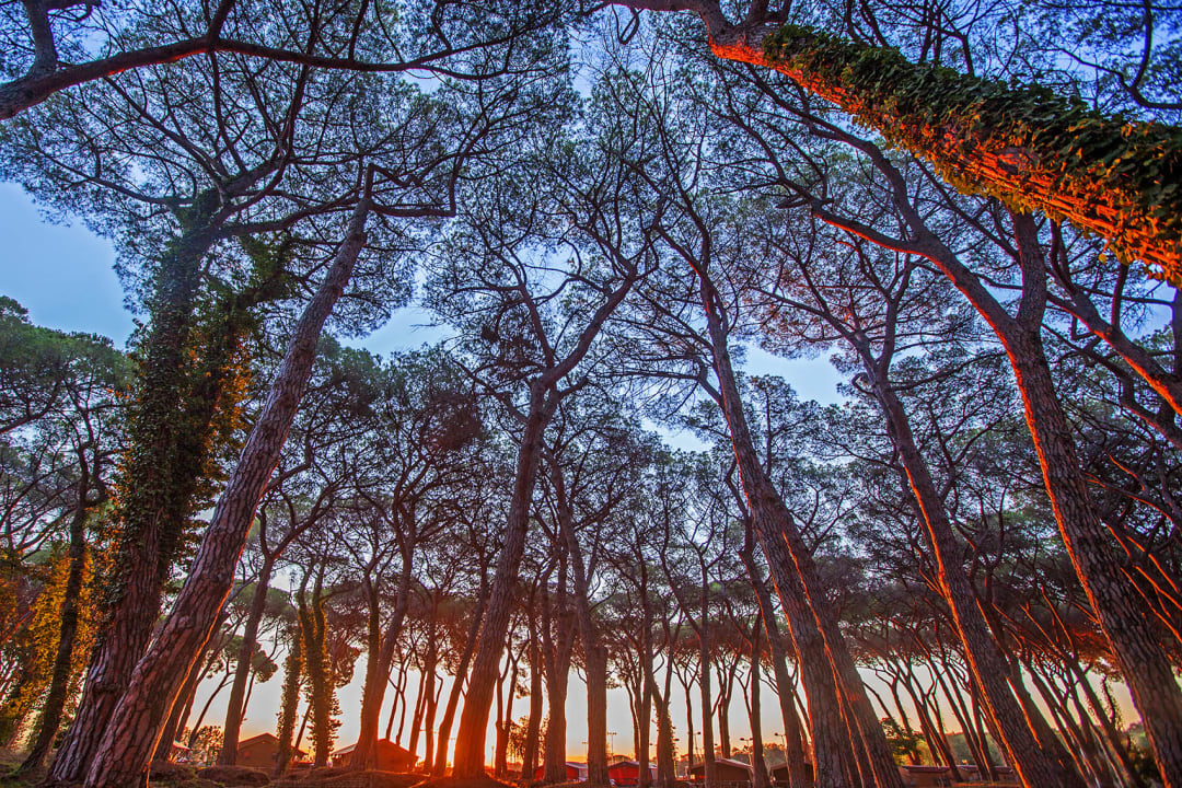 Sonstiges Fabulous Village