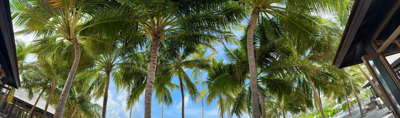Außenansicht Jawakara Islands Maldives