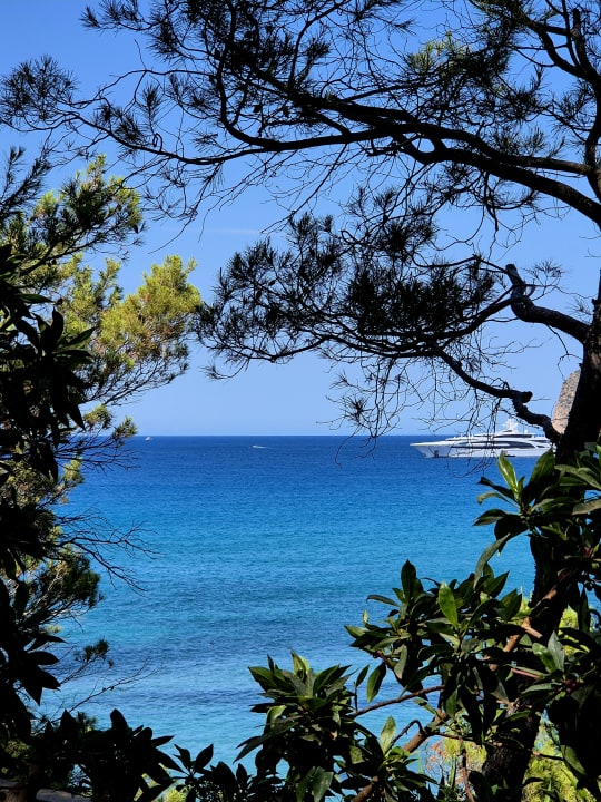 Ausblick Universal Hotel Lido Park & Spa