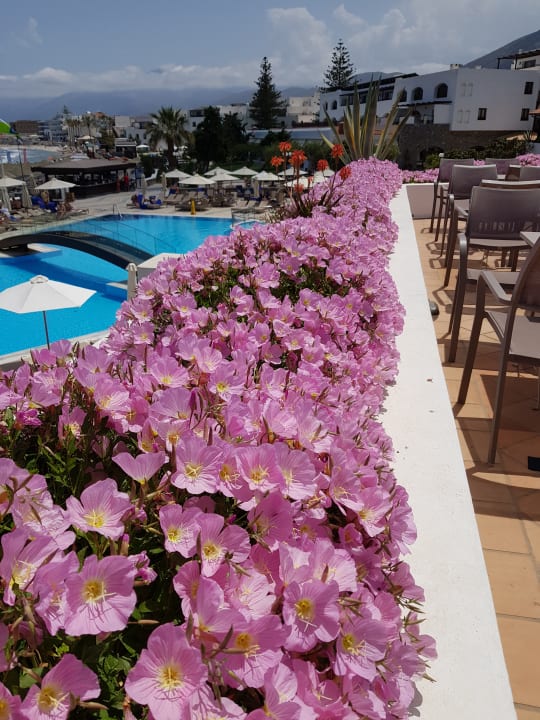 Außenansicht Creta Maris Resort