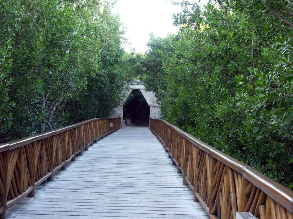 Verbindungsbrücke Catalonia Royal Tulum Beach & Spa Resort - Adults only