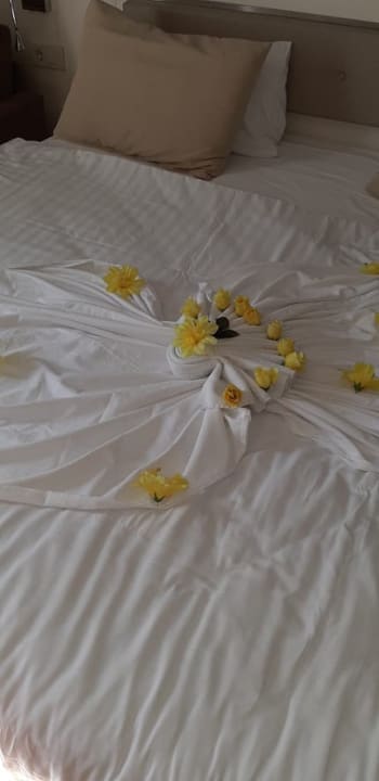 Zimmer Castival Hotel