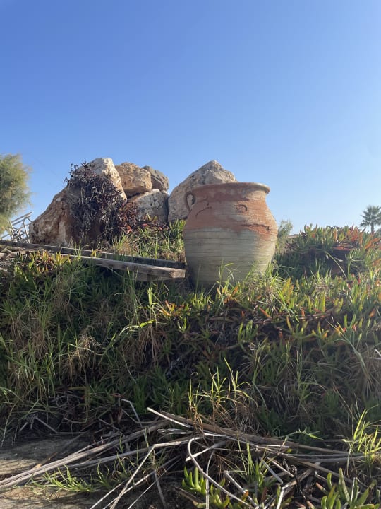 Gartenanlage Hotel Kouros Palace