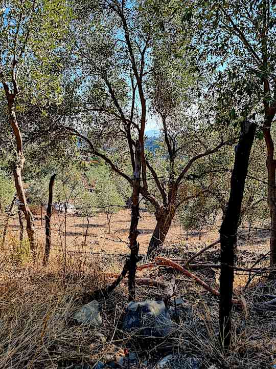 Sonstiges TUI BLUE Seno - Adults Only