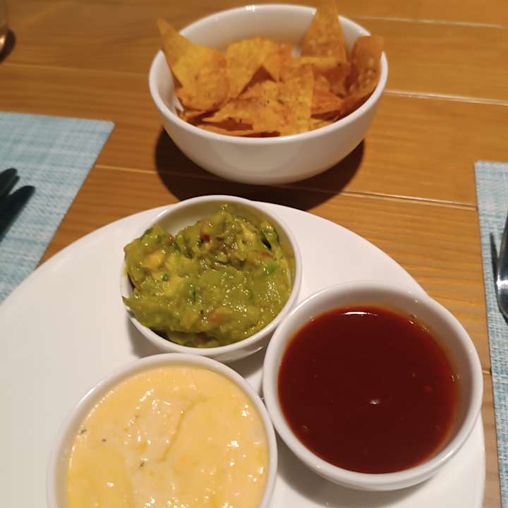 Gastro JAZ Elite Asteria