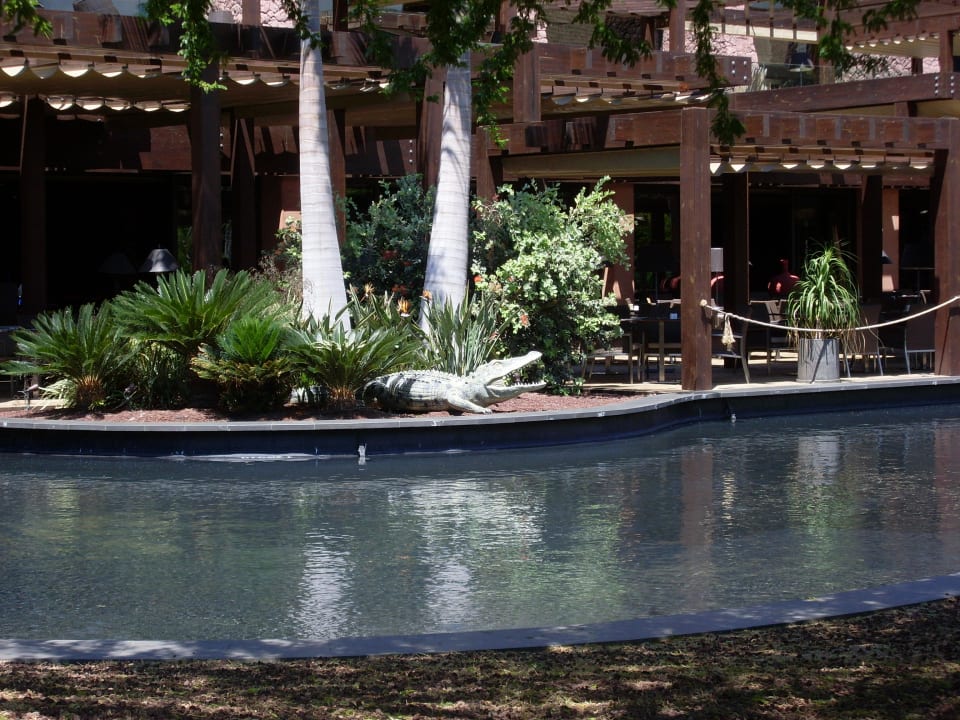 Krokodil Lopesan Baobab Resort