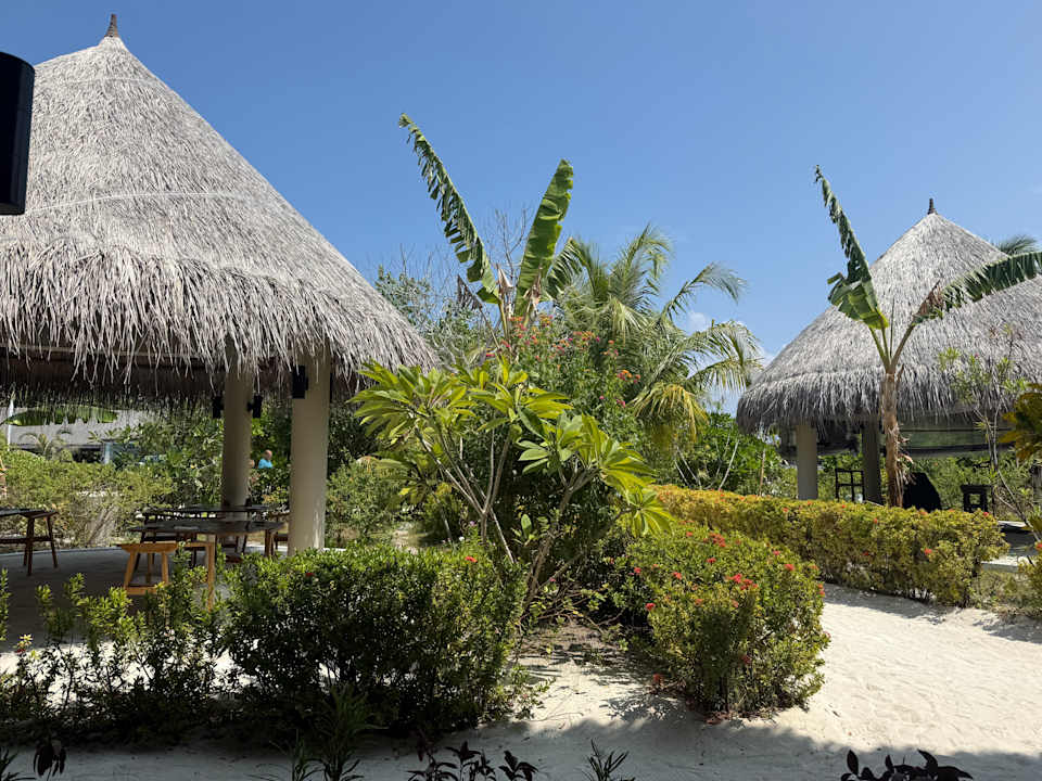 Gastro Cocoon Maldives