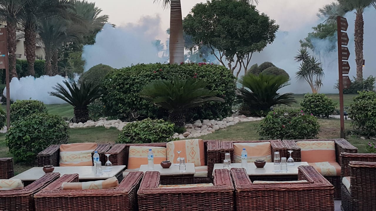 Zadymianie nie wiadomo czym Amwaj Beach Club Abu Soma Resort