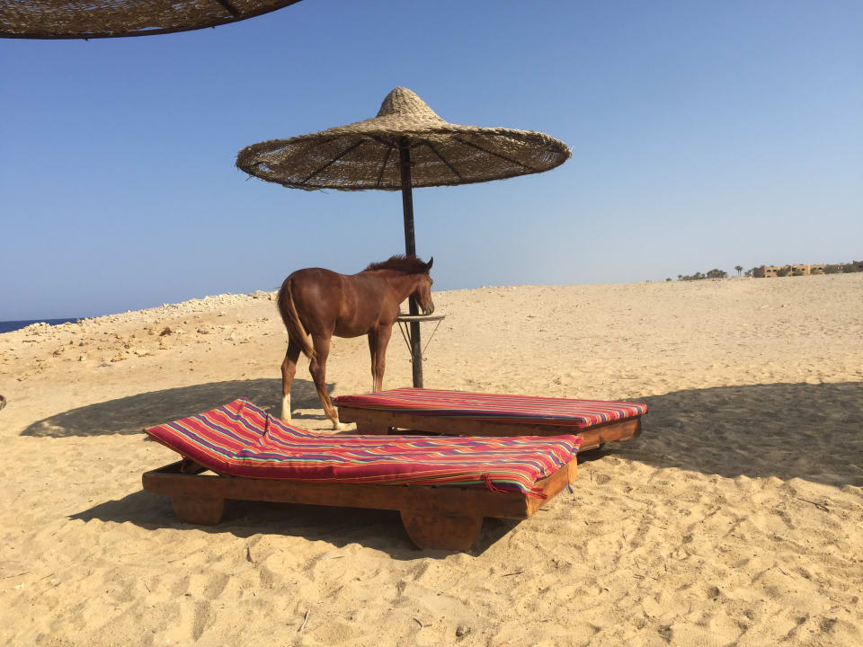 Strand Bliss Nada Beach Resort