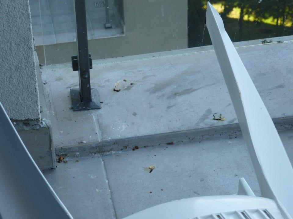 Balkon, verdreckt durch Vögel HVD Viva Club Hotel