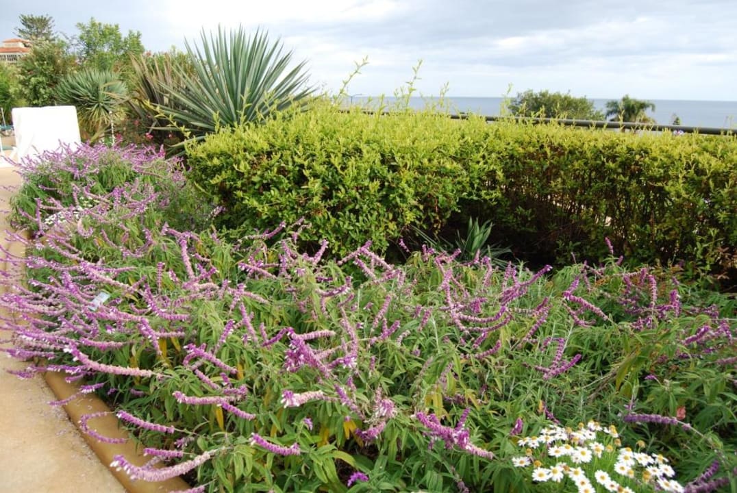 На территории отеля. Suite Hotel Eden Mar - PortoBay