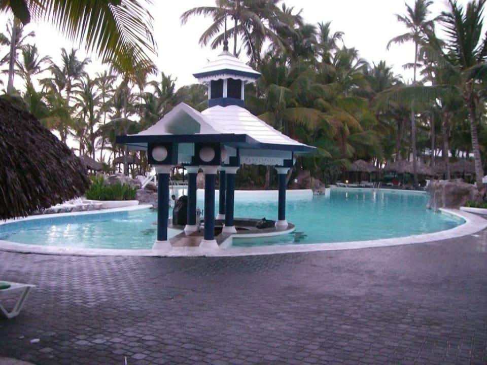 Pool Hotel Riu Palace Bavaro