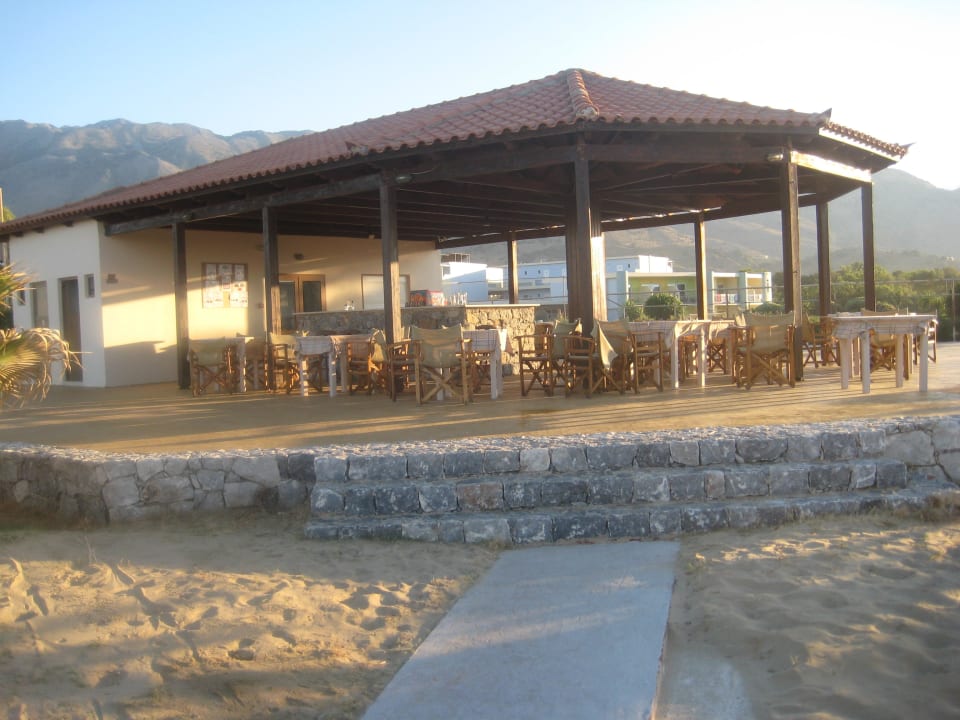 Strandbar Delfina Tropic Beach