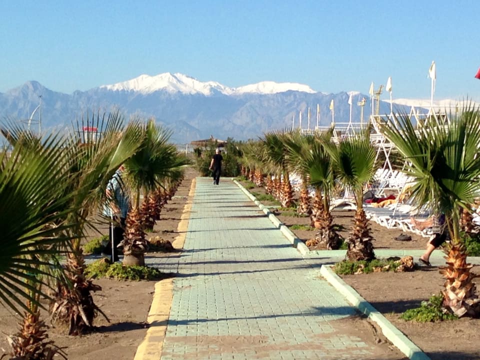 Strand Hotel Delphin Imperial