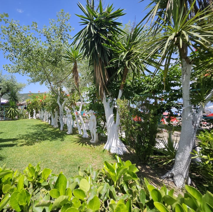 Gartenanlage Hotel Albatros